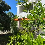 Xenia Appartement