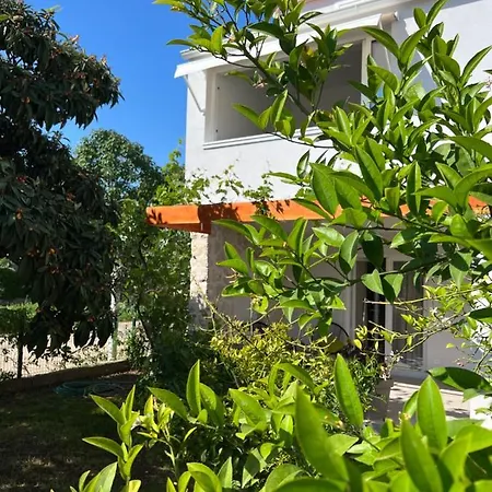Xenia Apartament