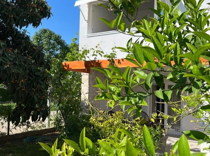 Xenia דירה
