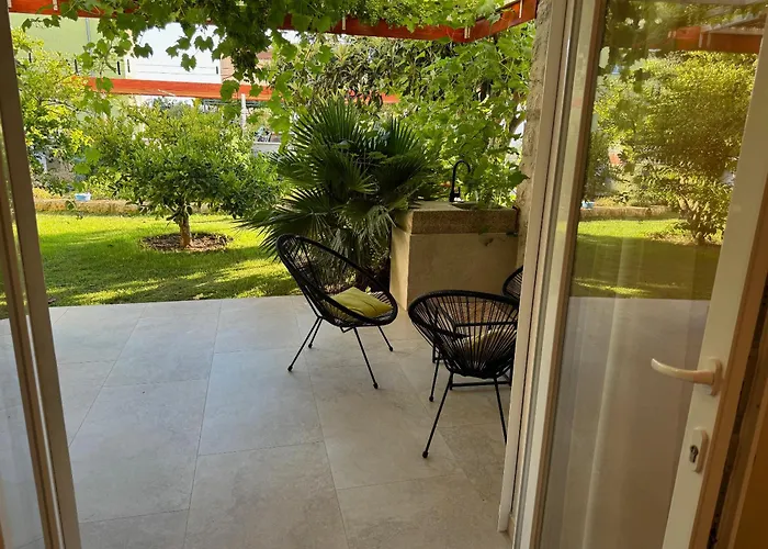 Xenia פאקוסטאן